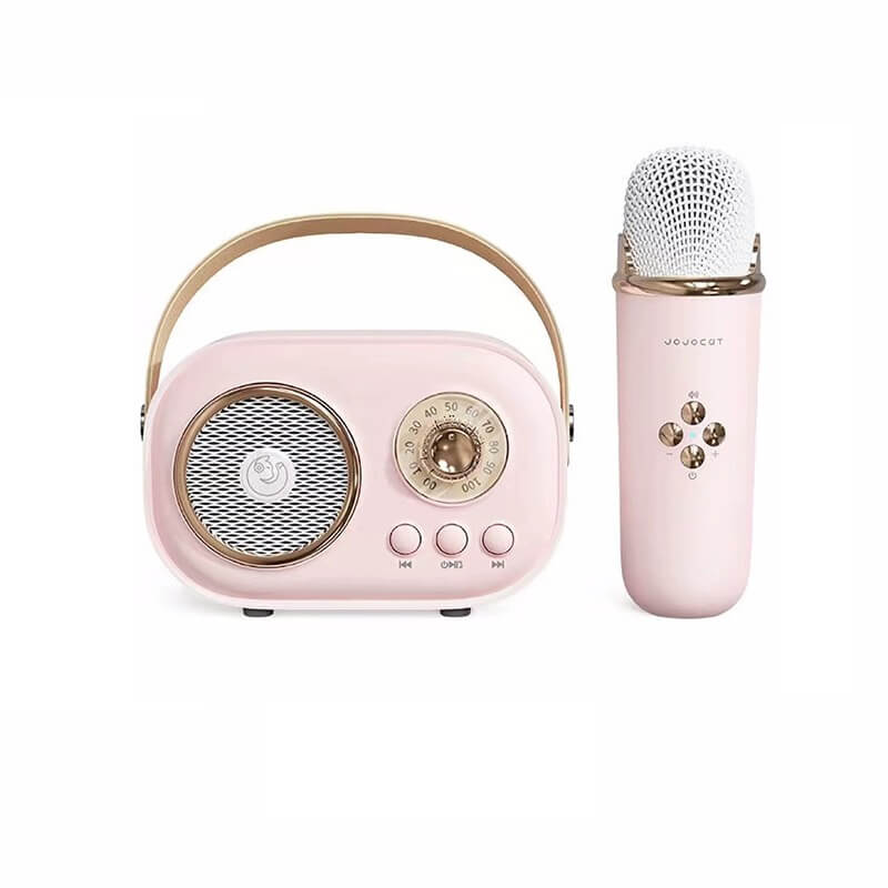 C20 PLUS PORTABLE WIRELESS BLUETOOTH KARAOKE SPEAKER WITH MICROPHONE